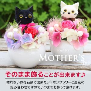 母の日 ギフト 花 カーネーション プレゼント...の詳細画像3