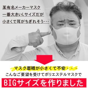 マスク 大きめサイズ 大きい 冷感 洗える 大...の詳細画像1