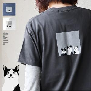 PATY パティ tシャツ 半袖 メンズ レディース しっかり コットン 綿100％ カジュアル 猫 はちわれ  SAIL セイル (メール便50)｜PATY