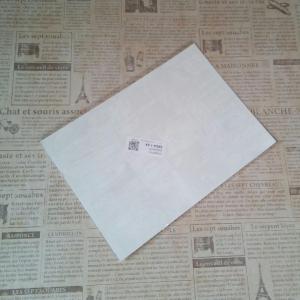 ノーブランド フレームプロテクターシールステッカー