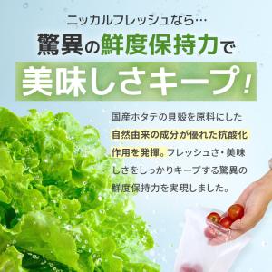 野菜・くだものが驚異の長持ち! 鮮度保持袋 ニ...の詳細画像4