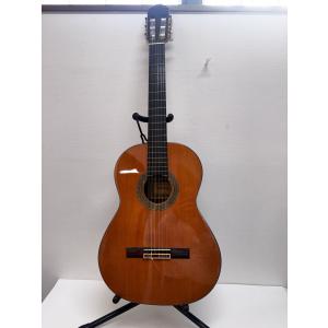 Serenaギター MODEL No. WG-0 DCT Serena Acoustic Guitar SN-1S CE【現物画像