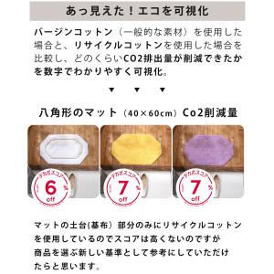 玄関マット 黄色 風水 南 東 南西 おしゃれ...の詳細画像5