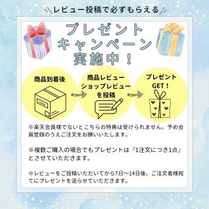 玄関マット 風水 八角形 大判 室内 北欧 洗...の詳細画像1