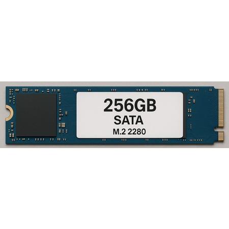 【最安挑戦】 256GB M.2 SSD 2280 高速 ストレージ 【正常動作確認済み】