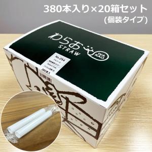 シバセ工業 アルコール検知用ストロー 個装タイプ 380本入り×20箱セット AS-254-20SET ACT-200 ACT-60 専用｜pc-akindo-y