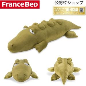 フランスベッド（FRANCEBED） 低反発枕 キュリエス エージー Culiess