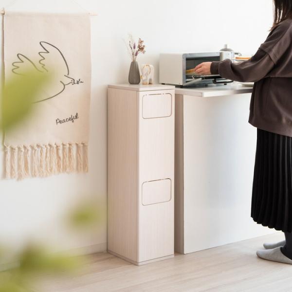 MIYATAKE ゴミ箱 20L×2 プッシュ式 木製 2段ダストボックス Empro エンプロー ...