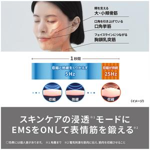 パナソニック イオン美顔器 イオンブースト マ...の詳細画像5