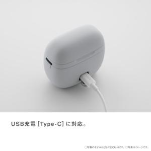 パナソニック ラムダッシュ パームイン LIT...の詳細画像5