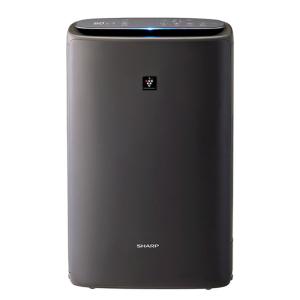 シャープ 空気清浄機 KI-RS50-H グレー系 空清〜13畳 プラズマクラスター25000