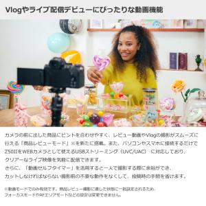 ニコン ミラーレスカメラ Z50II ダブルズ...の詳細画像4
