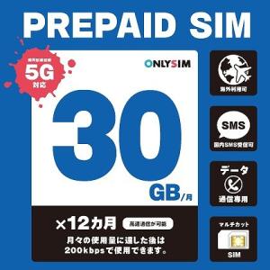 モバイル・プランニング 202306013012 楽天プリペイドSIM 毎月30GB 初月＋12ヶ月...
