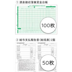 弥生 202432 賃金台帳/ 給与支払報告書セット100人用