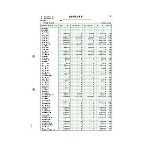 ソリマチ SR9481 合計残高試算表