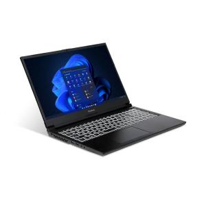 iiyama PC ゲーミングノートPC LEVEL-15FX161-i7-RAZX-M
