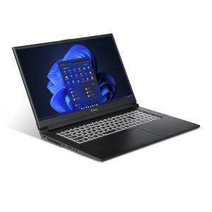 iiyama PC ゲーミングノートPC LEVEL-17FX162-i7-RAZX-M