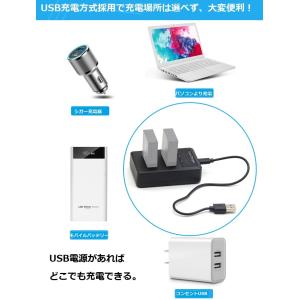 SONY NP-FZ100 対応 USB充電器...の詳細画像1