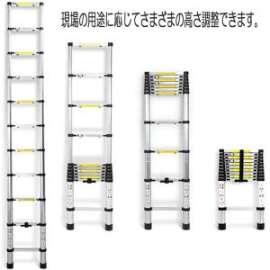長谷川工業 1連はしご HA1-20 全長：2.08m 最大使用質量：100kg