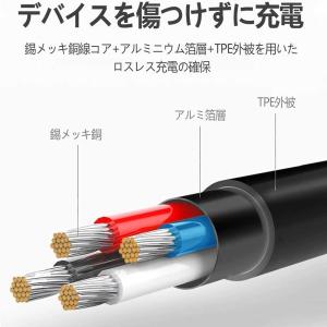 グーグル ピクセル ウォッチ Google P...の詳細画像4