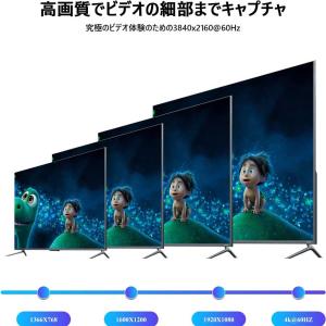 HDMI Displayport 4K 60H...の詳細画像3