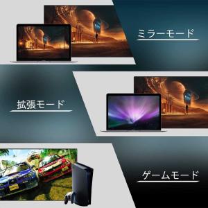 HDMI Displayport 4K 60H...の詳細画像5