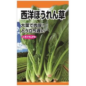 西洋 ほうれん草の商品一覧 通販 Yahoo ショッピング