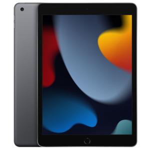 Apple(アップル) [箱難ありB]iPad 10.2インチ 第9世代 Wi-Fi 2021年秋モデル MK2N3J/A スペースグレイ [256G