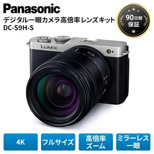 パナソニック LUMIX DC-S9H-S デジカメの買取情報