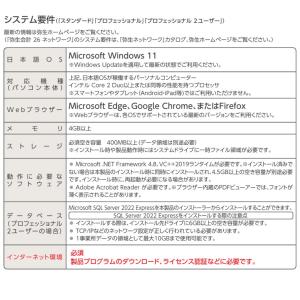 弥生会計26プロフェッショナル(YRAV000...の詳細画像2