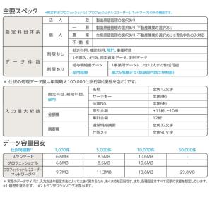 弥生会計26プロフェッショナル(YRAV000...の詳細画像3