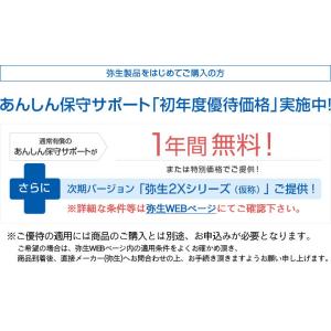 弥生会計26プロフェッショナル(YRAV000...の詳細画像4