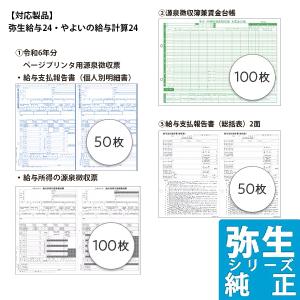 弥生サプライ 令和4年分 年末調整セット 100人用 源泉徴収票/賃金台帳用バインダー付(202322)