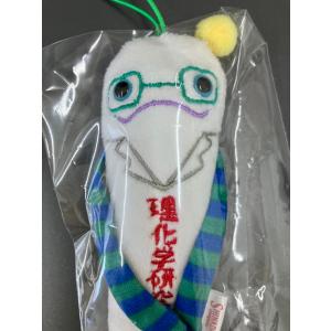 理研モケケの詳細画像3