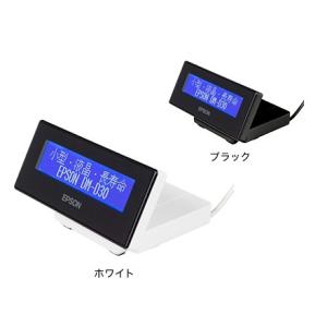 エプソン（EPSON） 【エプソン正規代理店】エプソン DM-D30W202 液晶