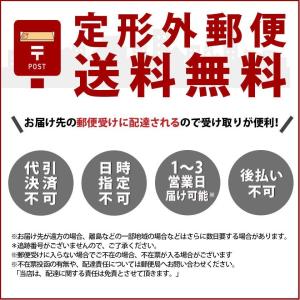 TOKAIZ アロマディフューザー 交換用ノズ...の詳細画像3