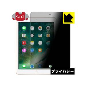 iPad(第5世代) のぞき見防止保護フィルム Privacy Shield【覗き見防止・反射低減】