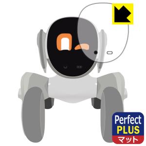 Loona / Loona Blue 対応 Perfect Shield Plus 保護 フィルム 反射低減 防指紋 日本製