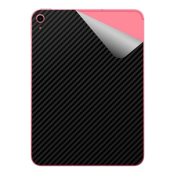 スキンシール iPad (A16・2025年発売モデル 11インチ 第11世代) 【各種】