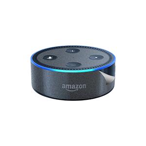 スキンシール Amazon Echo Dot (第2世代・2017年11月発売モデル) 【透明・すり...