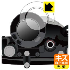 Kawasaki ELIMINATOR / ELIMINATOR SE (8BL-EL400A) オールデジタルインストゥルメント 対応 キズ自己修復 保護 フィルム 光沢 日本製