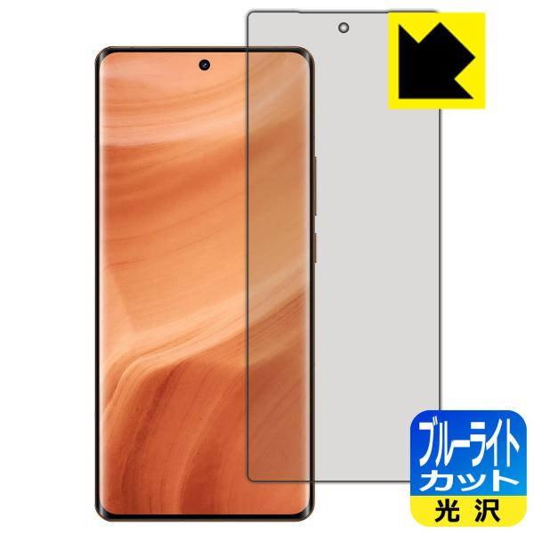 realme GT5 Pro 対応 ブルーライトカット[光沢] 保護 フィルム [指紋認証対応] 日...