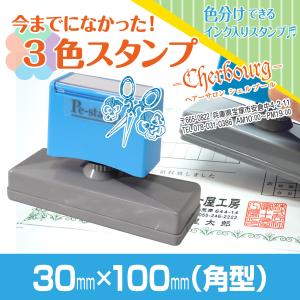 30mm×100mm Peスタンプ 3色 多色 色分け カラー カラフル 連続印 横判 住所印 大判 大型 大きい スタンプ はんこ 判子 シャチハタ式 オリジナル オーダー｜pe-stampshop