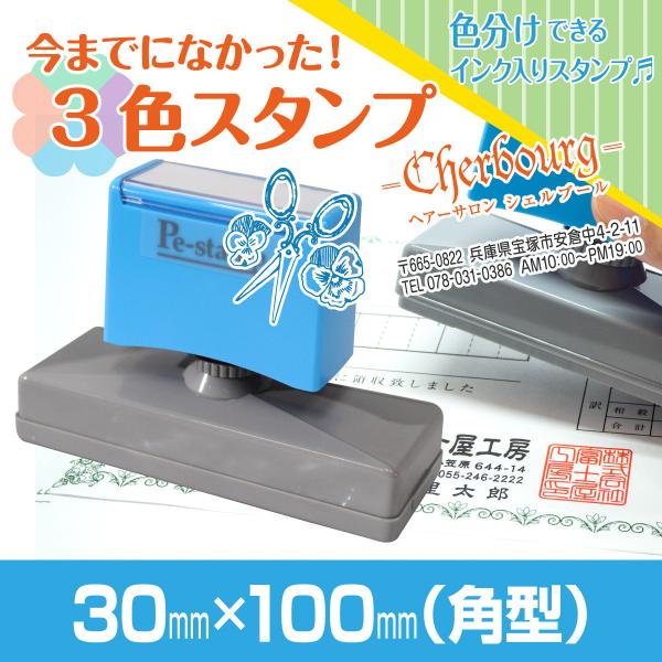 30mm×100mm Peスタンプ 3色 多色 色分け カラー カラフル 連続印 横判 住所印 大判...