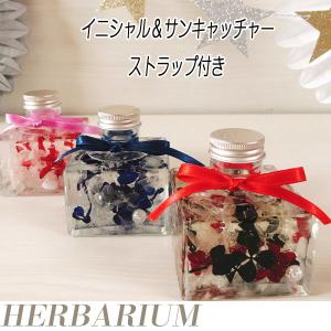 固まるハーバリウム COOL A*RT 3Dプレミアム 1.6L (A液800ml・B液