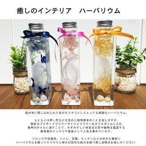 ハーバリウム 2025 母の日 ギフト プレゼ...の詳細画像1