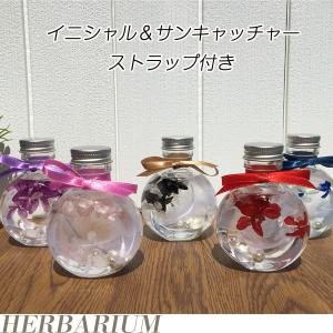 ハーバリウム ギフト あじさい 花 誕生日 紫陽花 ピンク 黒 赤 プレゼント プリザーブドフラワー ドライフラワー かわいい おしゃれ 母の日 2025