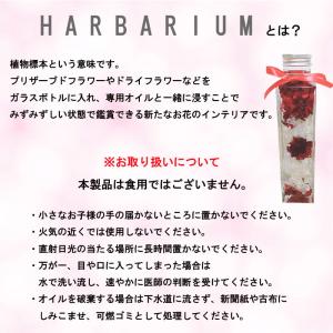 ハーバリウム ギフト あじさい 花 誕生日 紫...の詳細画像3