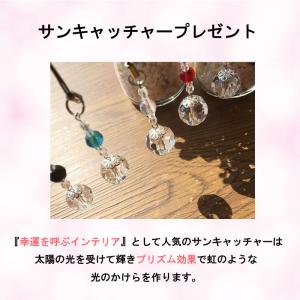 ハーバリウム ギフト あじさい プレゼント 花...の詳細画像5