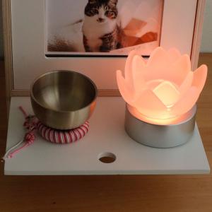 ペットお盆 盆提灯 ロウソク ロータスグレイス...の詳細画像2